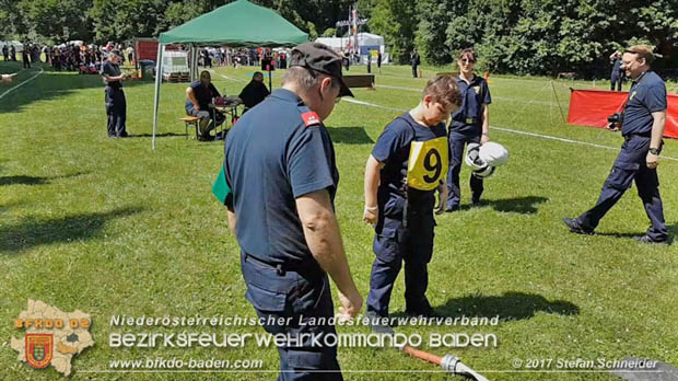 Bezirksfeuerwehrjugendleistungsbewerbe am 10. Juni 2017 im Schlosspark Tribuswinkel  Foto: Stefan Schneider BFKDO Baden