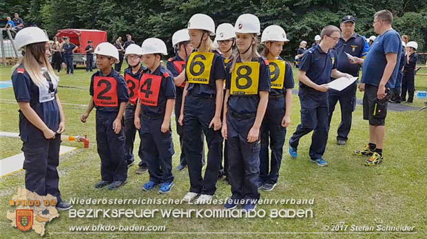 Bezirksfeuerwehrjugendleistungsbewerbe am 10. Juni 2017 im Schlosspark Tribuswinkel  Foto: Stefan Schneider BFKDO Baden