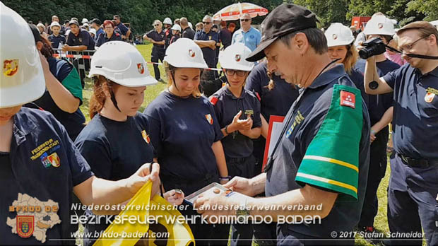 Bezirksfeuerwehrjugendleistungsbewerbe am 10. Juni 2017 im Schlosspark Tribuswinkel  Foto: Stefan Schneider BFKDO Baden