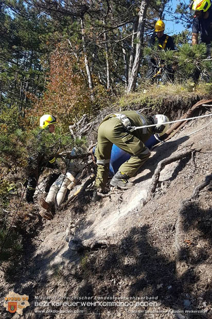 20170930_KHD Zugsübung des 4. Zuges der 2. KHD Bereitschaft - Schlösselwald bei Gainfarn Foto: © Martin Strubreiter FF Baden Weikersdorf 20170930_KHD Zugsübung des 4. Zuges der 2. KHD Bereitschaft - Schlösselwald bei Gainfarn Foto: © Martin Strubreiter FF Baden Weikersdorf