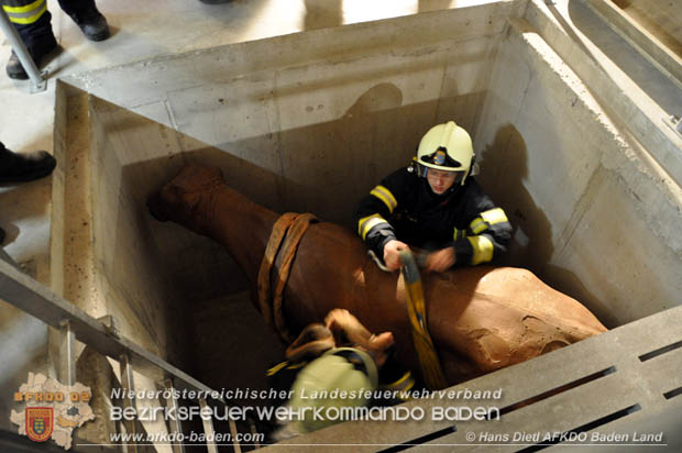 20171125 KHD Bereitschaftsbung in der Landesfeuerwehrschule Tulln  Foto: VI Hans Dietl FF Mllersdorf