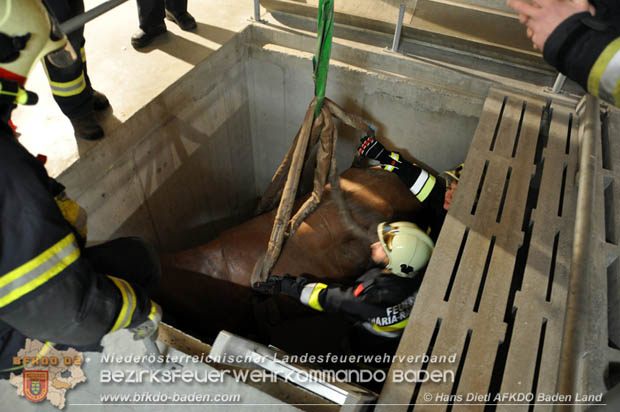 20171125 KHD Bereitschaftsbung in der Landesfeuerwehrschule Tulln  Foto: VI Hans Dietl FF Mllersdorf