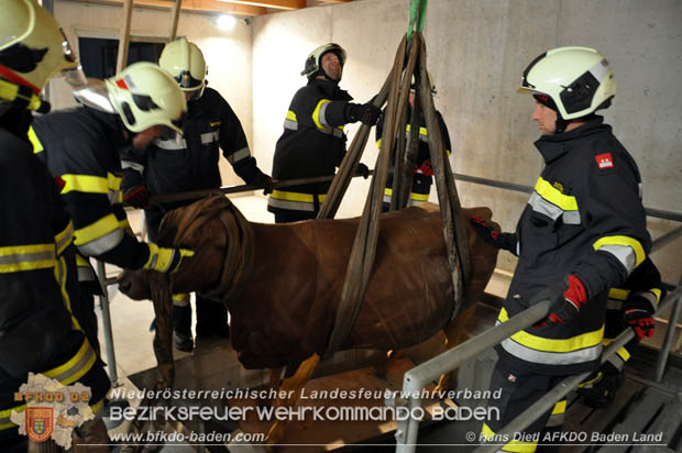 20171125 KHD Bereitschaftsbung in der Landesfeuerwehrschule Tulln  Foto: VI Hans Dietl FF Mllersdorf