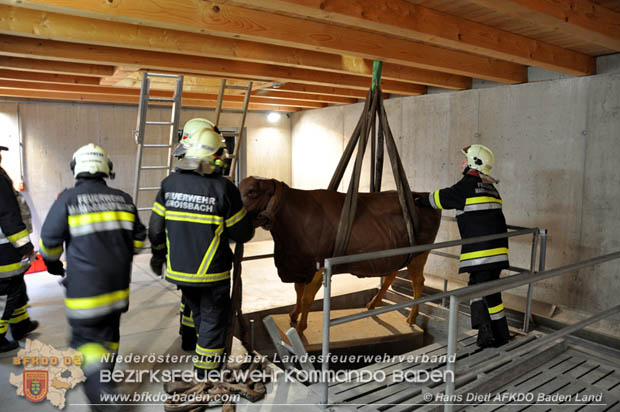 20171125 KHD Bereitschaftsbung in der Landesfeuerwehrschule Tulln  Foto: VI Hans Dietl FF Mllersdorf