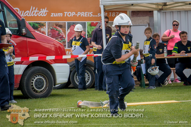 BFJLB Schnau/Triesting 2019 - Foto Daniel Wirth