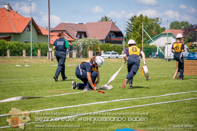 BFJLB Schnau/Triesting 2019 - Foto Daniel Wirth