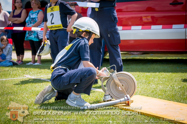 BFJLB Schnau/Triesting 2019 - Foto Daniel Wirth