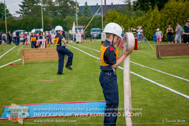 BFJLB Schnau/Triesting 2019 - Foto Daniel Wirth