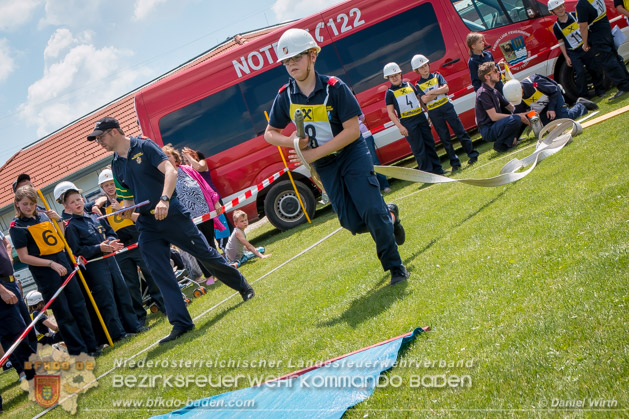 BFJLB Schnau/Triesting 2019 - Foto Daniel Wirth