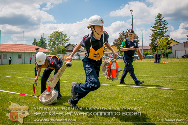 BFJLB Schnau/Triesting 2019 - Foto Daniel Wirth