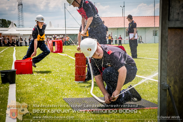 BFJLB Schnau/Triesting 2019 - Foto Daniel Wirth