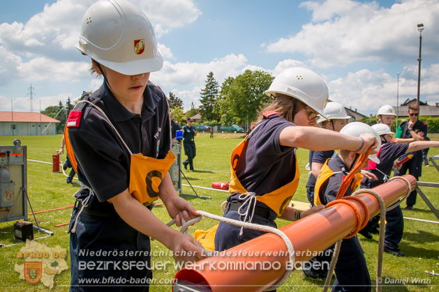 BFJLB Schnau/Triesting 2019 - Foto Daniel Wirth