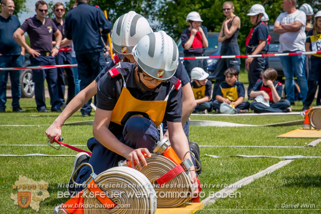 BFJLB Schnau/Triesting 2019 - Foto Daniel Wirth