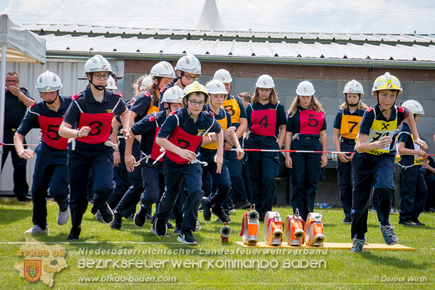 BFJLB Schnau/Triesting 2019 - Foto Daniel Wirth