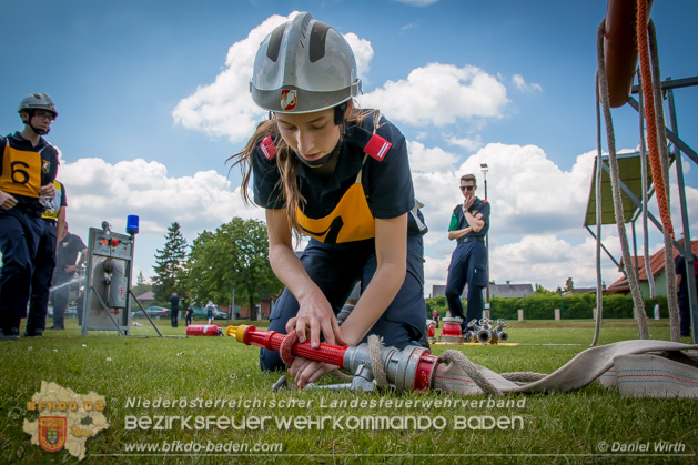 BFJLB Schnau/Triesting 2019 - Foto Daniel Wirth