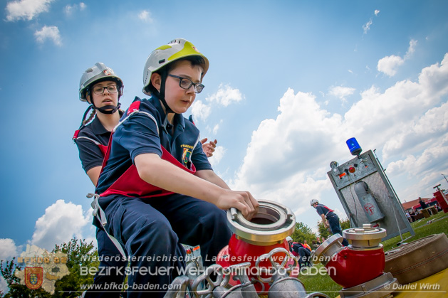 BFJLB Schnau/Triesting 2019 - Foto Daniel Wirth