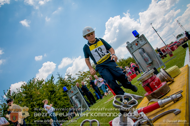 BFJLB Schnau/Triesting 2019 - Foto Daniel Wirth