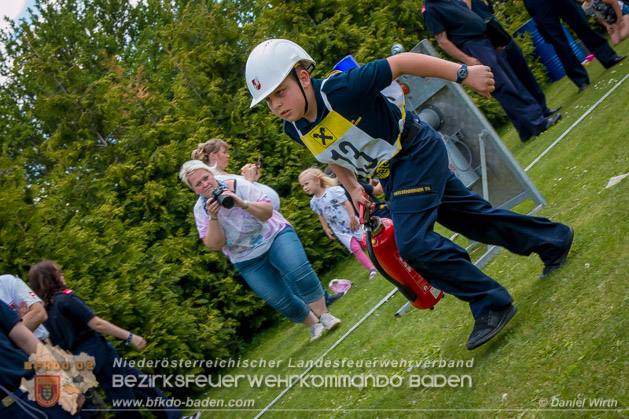 BFJLB Schnau/Triesting 2019 - Foto Daniel Wirth