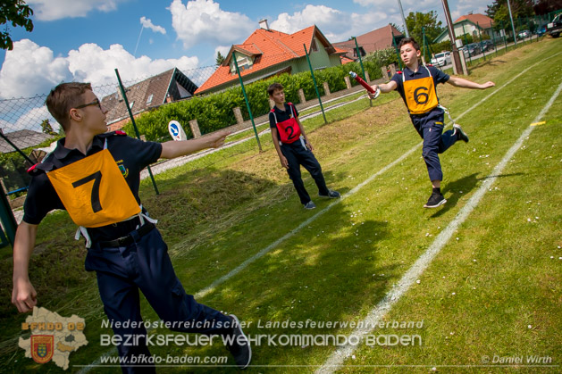 BFJLB Schnau/Triesting 2019 - Foto Daniel Wirth