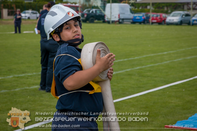 BFJLB Schnau/Triesting 2019 - Foto Daniel Wirth