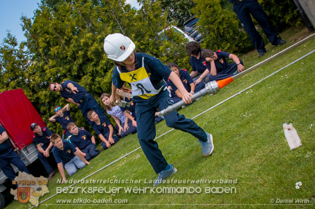 BFJLB Schnau/Triesting 2019 - Foto Daniel Wirth