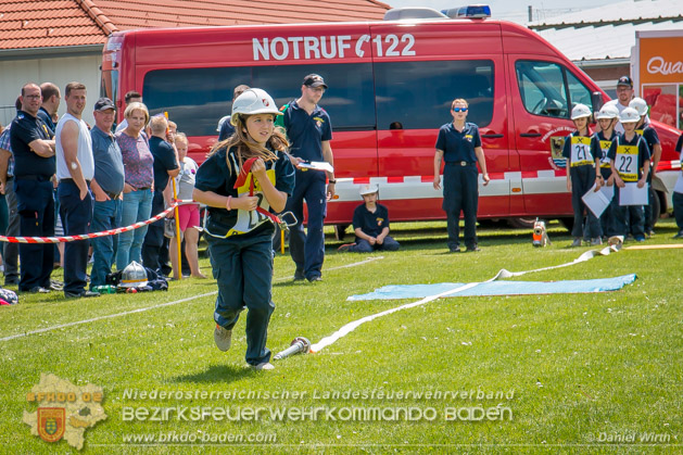 BFJLB Schnau/Triesting 2019 - Foto Daniel Wirth