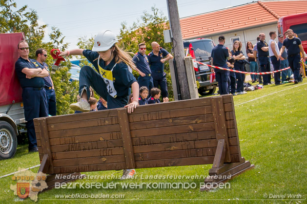 BFJLB Schnau/Triesting 2019 - Foto Daniel Wirth