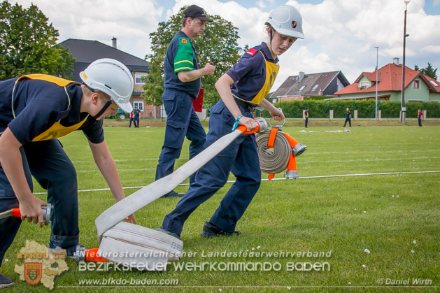 BFJLB Schnau/Triesting 2019 - Foto Daniel Wirth