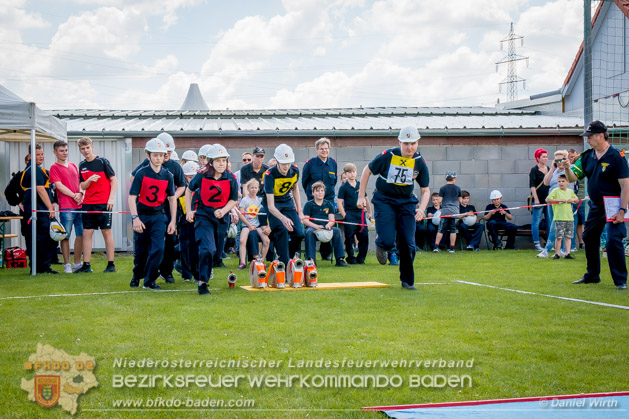 BFJLB Schnau/Triesting 2019 - Foto Daniel Wirth