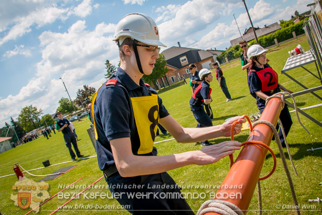 BFJLB Schnau/Triesting 2019 - Foto Daniel Wirth