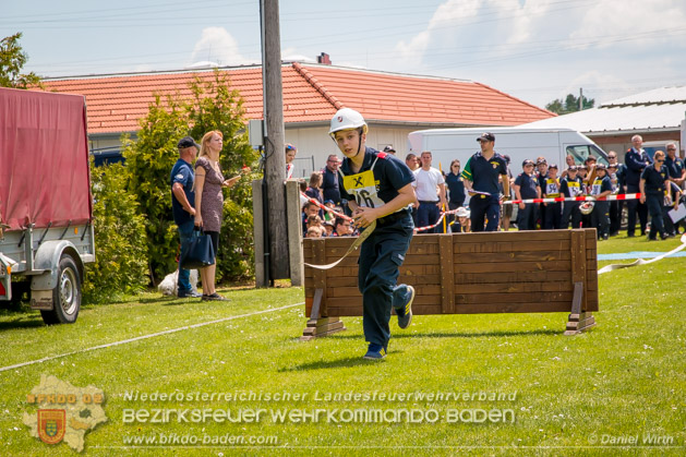 BFJLB Schnau/Triesting 2019 - Foto Daniel Wirth