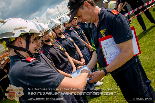 BFJLB Schnau/Triesting 2019 - Foto Daniel Wirth