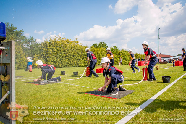 BFJLB Schnau/Triesting 2019 - Foto Daniel Wirth