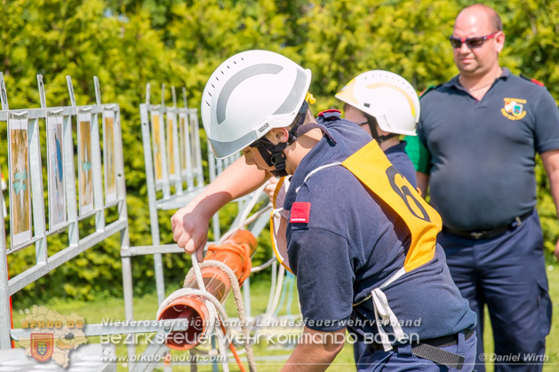 BFJLB Schnau/Triesting 2019 - Foto Daniel Wirth