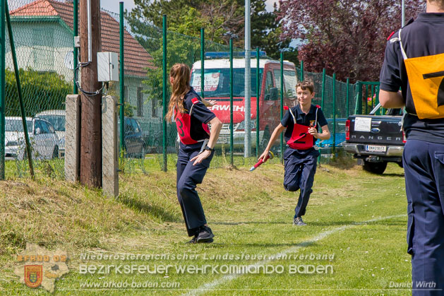 BFJLB Schnau/Triesting 2019 - Foto Daniel Wirth