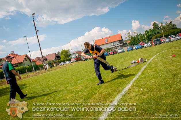 BFJLB Schnau/Triesting 2019 - Foto Daniel Wirth