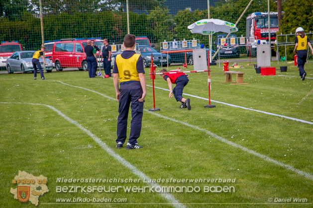 BFJLB Schnau/Triesting 2019 - Foto Daniel Wirth