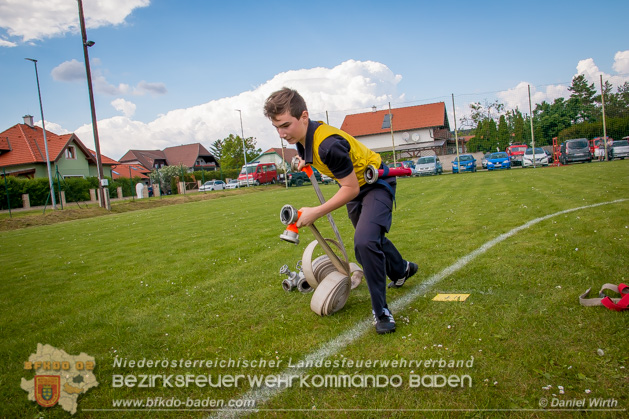 BFJLB Schnau/Triesting 2019 - Foto Daniel Wirth