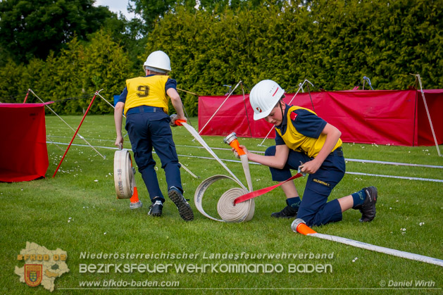 BFJLB Schnau/Triesting 2019 - Foto Daniel Wirth