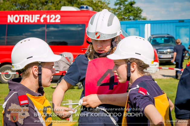 BFJLB Schnau/Triesting 2019 - Foto Daniel Wirth