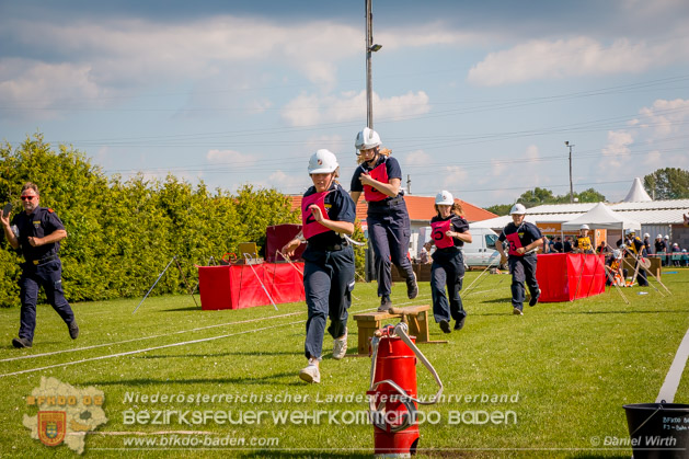 BFJLB Schnau/Triesting 2019 - Foto Daniel Wirth