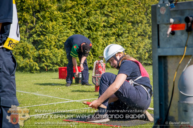 BFJLB Schnau/Triesting 2019 - Foto Daniel Wirth