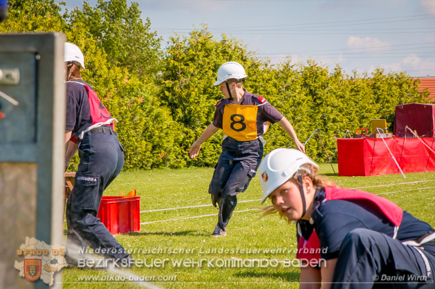 BFJLB Schnau/Triesting 2019 - Foto Daniel Wirth