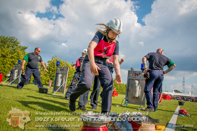 BFJLB Schnau/Triesting 2019 - Foto Daniel Wirth