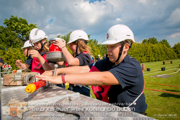 BFJLB Schnau/Triesting 2019 - Foto Daniel Wirth