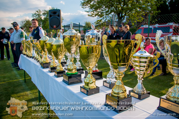 BFJLB Schnau/Triesting 2019 - Foto Daniel Wirth