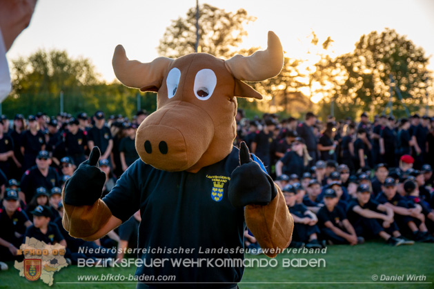 47. Landestreffen der NÖ Feuerwehrjugend 2019 - Foto: Janine Schrahböck und Daniel Wirth 