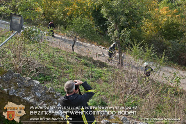 20191019 KHD bung in Hainburg   Foto: Stefan Schneider