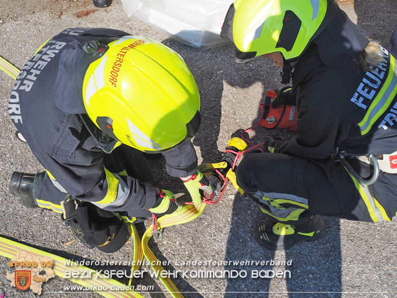 20210626 u. 27. Modul Grundlagen Fhren in Pfaffsttten  Foto: BFKDO BADEN / Lehrbauftragte "FHREN"