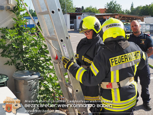 20210626 u. 27. Modul Grundlagen Fhren in Pfaffsttten  Foto: BFKDO BADEN / Lehrbauftragte "FHREN"